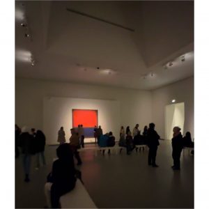 hotel-fabric-mark-rothko-the-new-exhibition-of-the-louis-vuitton-foundation